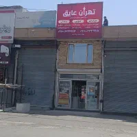 کارشناس فروش و پشتیبان سایت و پیچ