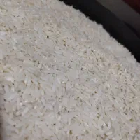 برنج طارم