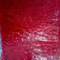 زرشک|خوردنی و آشامیدنی|آبادان, |دیوار