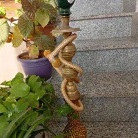 معاوضه با قناری