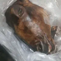 کله پارچه بز ومیش پاک  شسته  هرتعدای که بخواهید