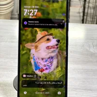 note 12 pro