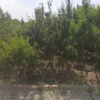 باغچه-400متری-شهریار
