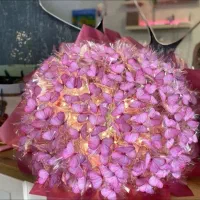 گل چراغ دار