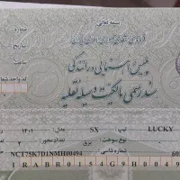 موتور برقی برند لاکی ۲۰۰۰ وات