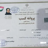 مبلشویی خدمات نظافتی آویژه مبل شویی کارگر راه پله