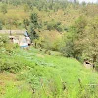 زمین ییلاقی پروانه دار متری 6.5