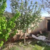 خانه روستایی واقع در 30کیلومتری مشهد