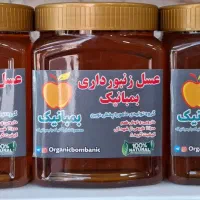 عسل وحشی کوهی