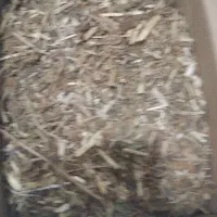 تنباکو دومزه وتنباکو دخترپیچ براز جان