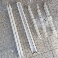 مهتابی دو قلو بزرگ سالم