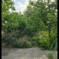 باغ-1000-متری