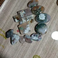 شجر برفی خزه ای نگین دانه ای۳۰۰هزارکاملامعدنی واصل