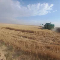کاه گندم کاه کوب