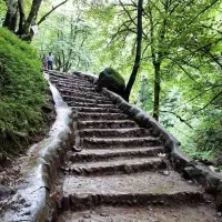تور یکروزه قلعه رودخان
