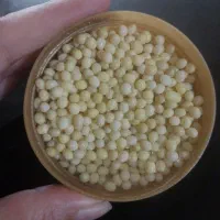 خاویار حلزون . تخم حلزون