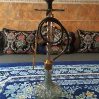 قیلون عربی اصلی