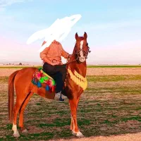 اسب