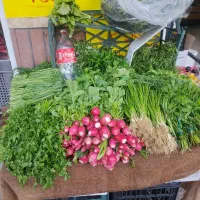 سبزی فروش