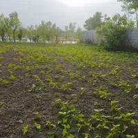 فروش زمین مسکونی