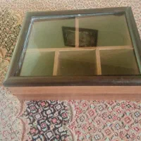 تیبگ