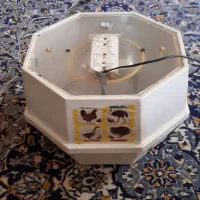 دستگاه جوجه کشی مام کاکس