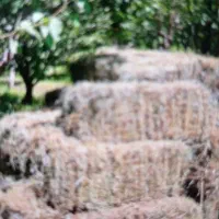 پرس یونجه و علف