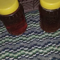 عسل فریدن