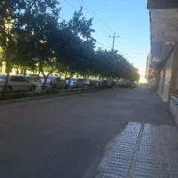 113متر خوش نقشه