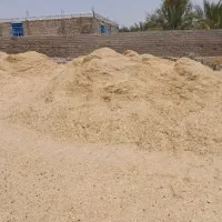 کاه گندم تمیز