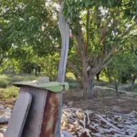 فروش-باغ