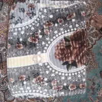 پتودولایه ومسافرتی
