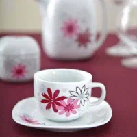 فنجان نعلبکی زرین مدل‌ ویولا