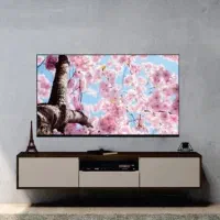 دفتر درویشوند و زنگیوند