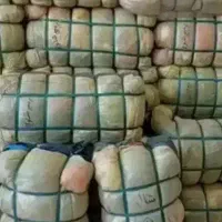 هزار تیکه بار جدید تاناکورا رسید ۱۰۰و۲۰۰هزار