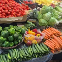 کارگر میوه فروشی نیمه وقت یا تمام وقت