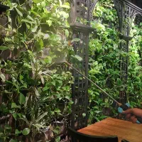 خدمات نگهداری گیاهان آپارتمانی و فضای سبز