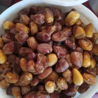 خرمای کبکاب دهسلم