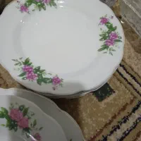 تعدادی بشقاب گل سرخ و کاسه ماست خوری