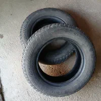 لاستیک بارز