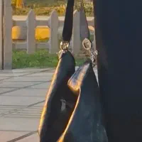 کیف گمشده