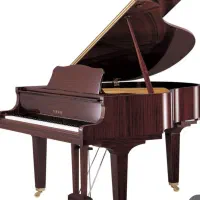 تنوع رنگ نوازش روح آرامش جان پیانوسازدونی»