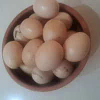 تخم مرغ خانگی