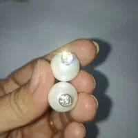 بدلیجات نو