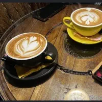 پخش انواع اجناس کافه ای و....