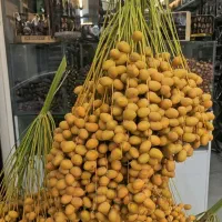 خارک و رطب