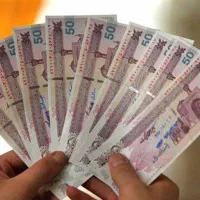 درآمد با پلتفرم fndk