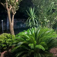 فروش-ویلاباغ