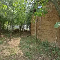 اجاره-کلبه-زیبا-در-لاهیجان-فاصله-تا-شهر-6کیلومتر