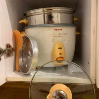 پلوپز و بخار پز Tefal